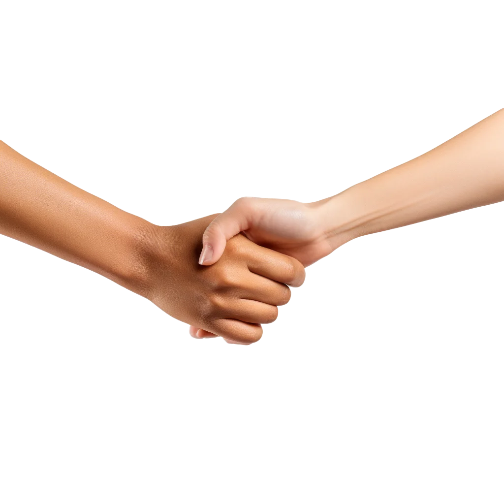 Diverse Multiethnic Hands Holding Together In Unity Free PNG