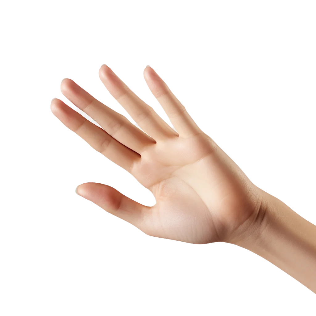 Elegant Female Hand Pointing Fingertips Model Cutout Free PNG