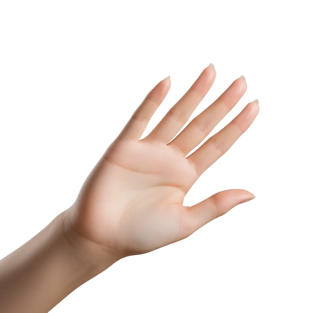 Reaching Female Hand Palm Forward Gesturing Cutout Free PNG