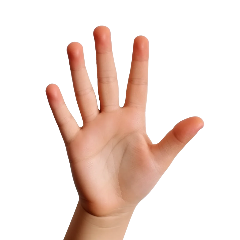 Raised Child Hand Open Palm Showing Five Fingers Free PNG