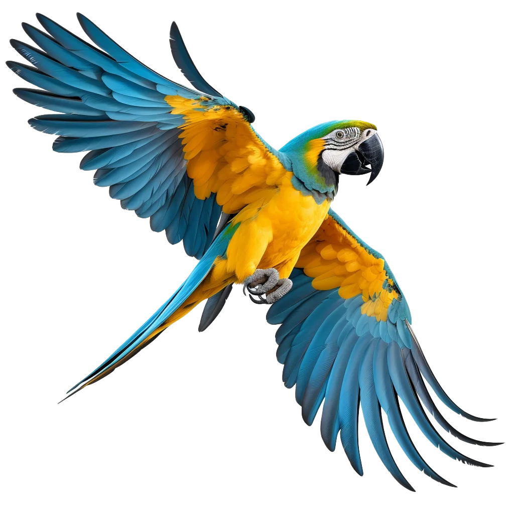 Flying Blue and Yellow Macaw Parrot Free PNG