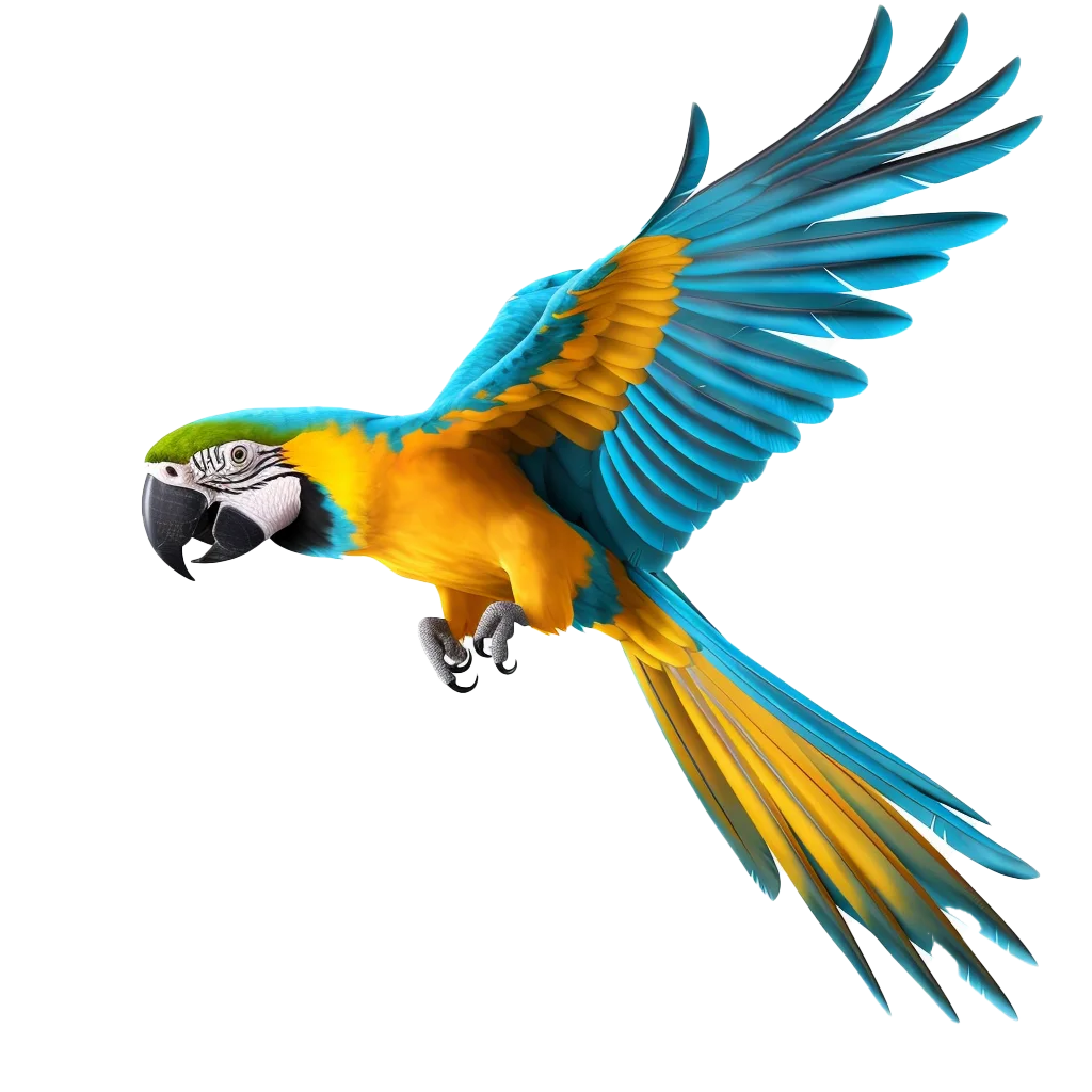 Flying Blue and Gold Macaw Parrot Bird Free PNG