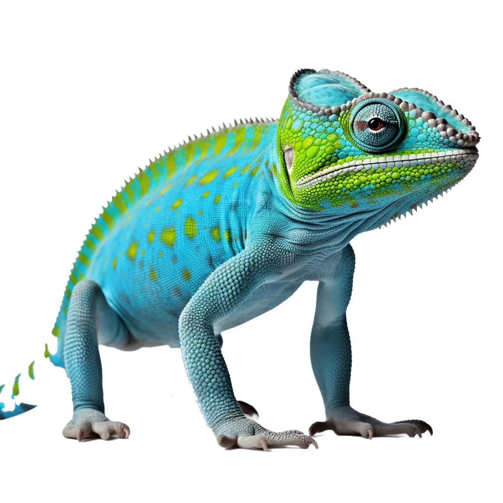 Vibrant Blue Green Chameleon Crawling Free PNG