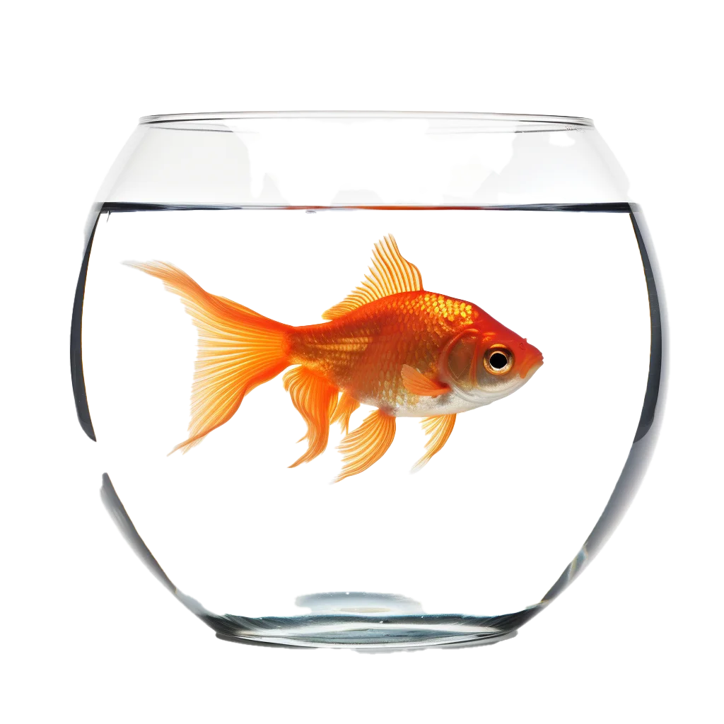 Cute Orange Goldfish Swimming In Glass Fishbowl Free PNG