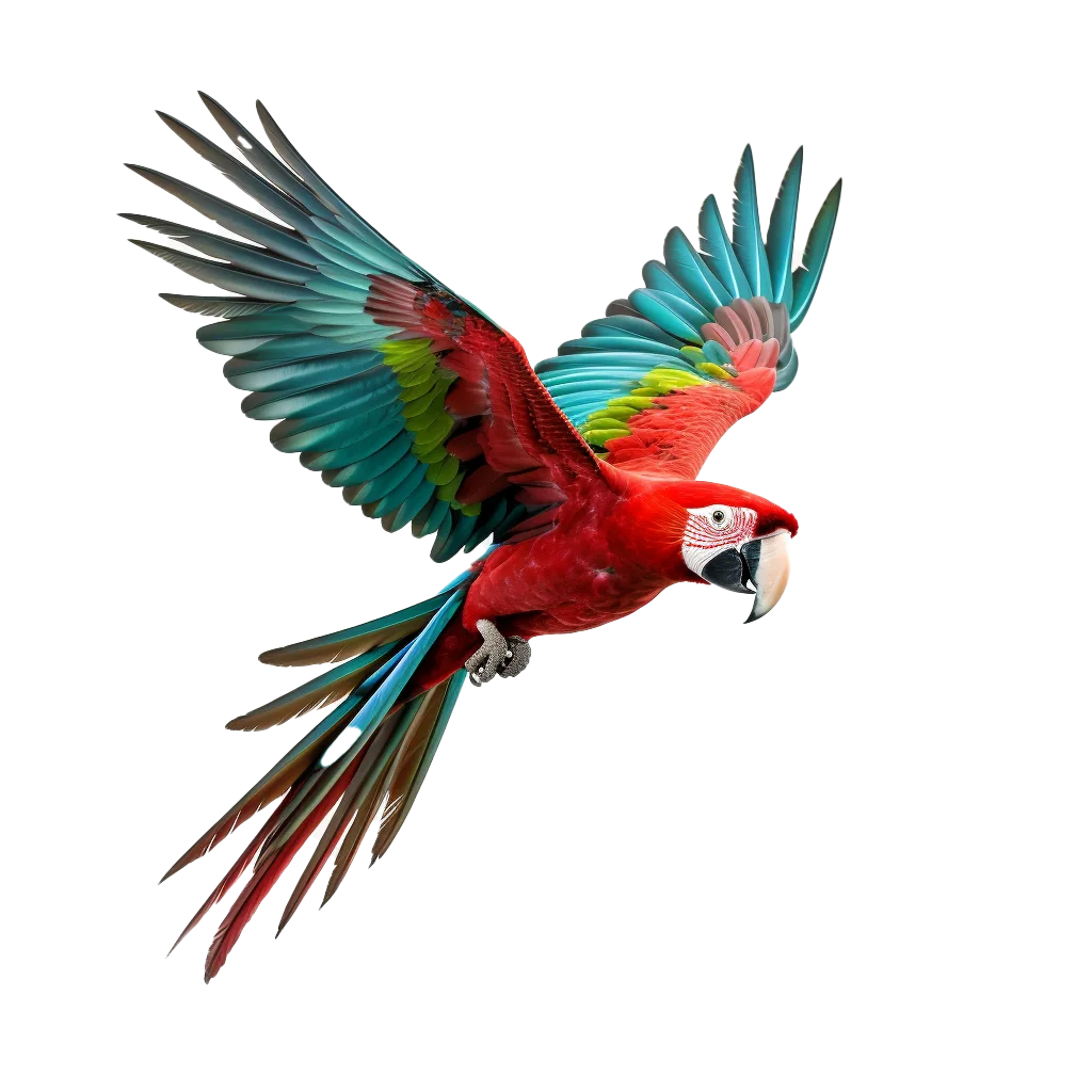 Soaring Scarlet Macaw Tropical Parrot In Flight Free PNG