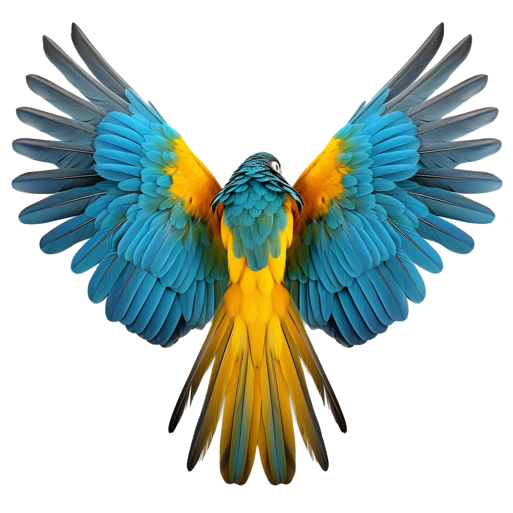 Colorful Macaw Parrot Soaring Forward Free PNG