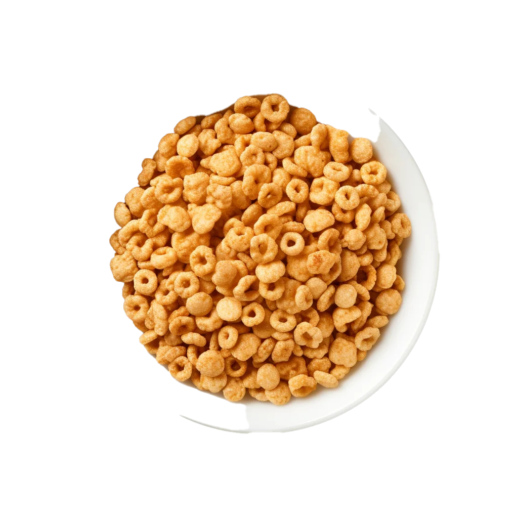 Crispy Round Honey Cereal O's Bowl Free PNG