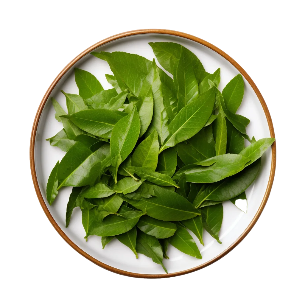 Fresh Green Curry Leaves in Round Dish Free PNG