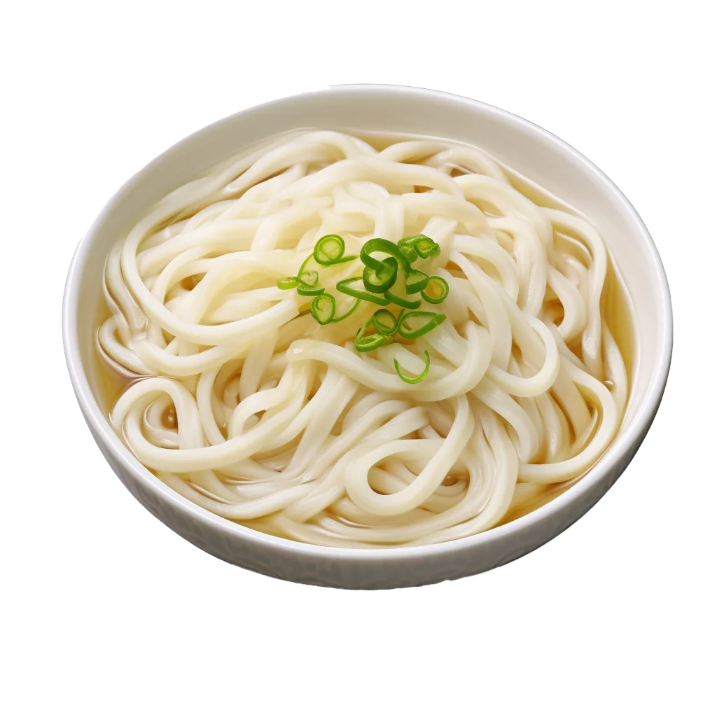 Steamed Udon Noodles in Soup Broth Free PNG