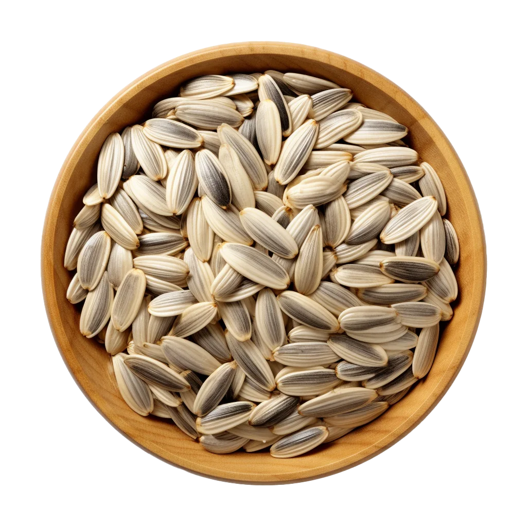 Raw Striped Sunflower Seeds in Bowl Free PNG