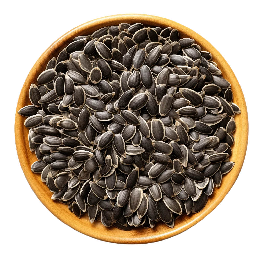Roasted Black Sunflower Seeds Bowl Free PNG