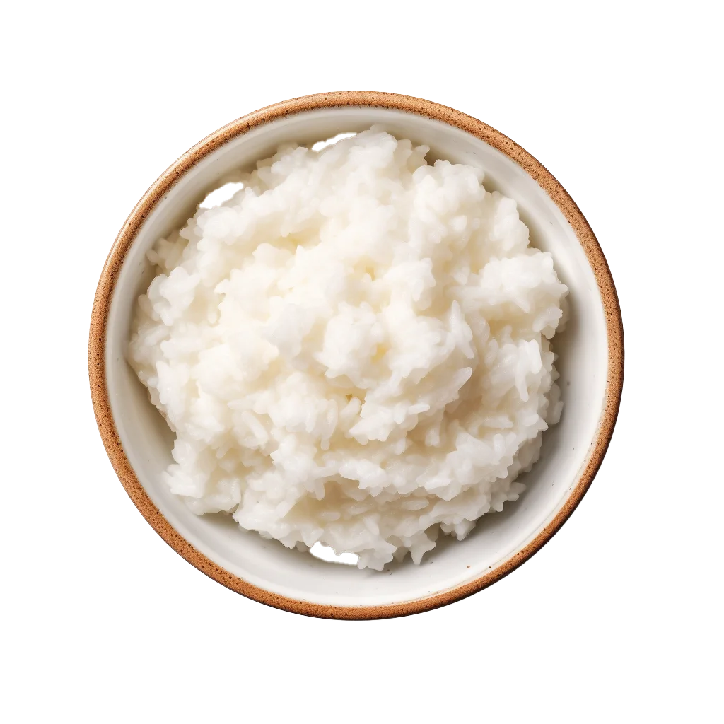 Cooked White Rice in Ceramic Bowl Free PNG