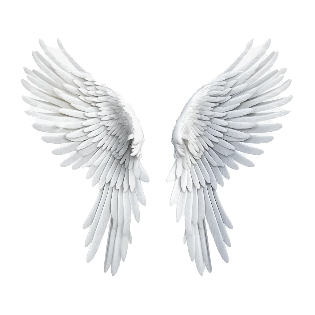 White Feathered Angel Wings Free PNG