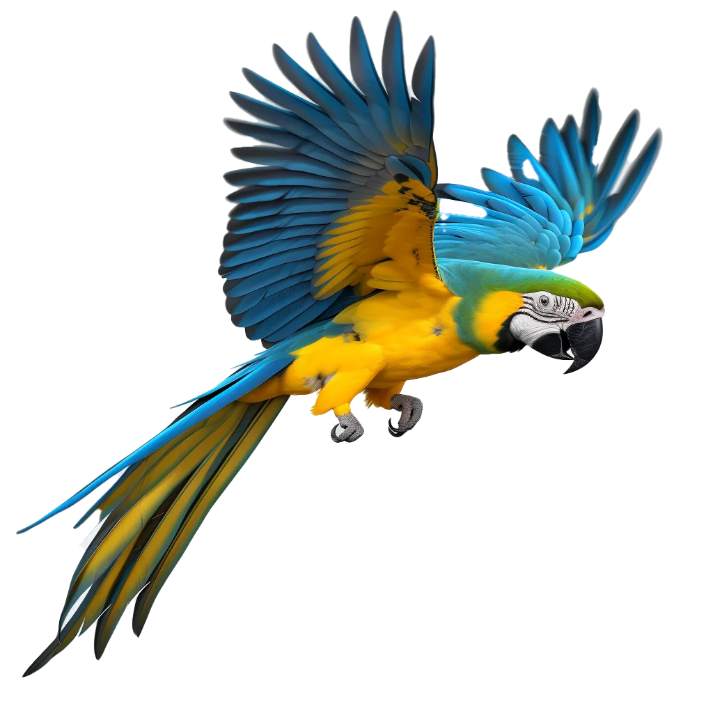Blue and Gold Macaw Flying Free PNG