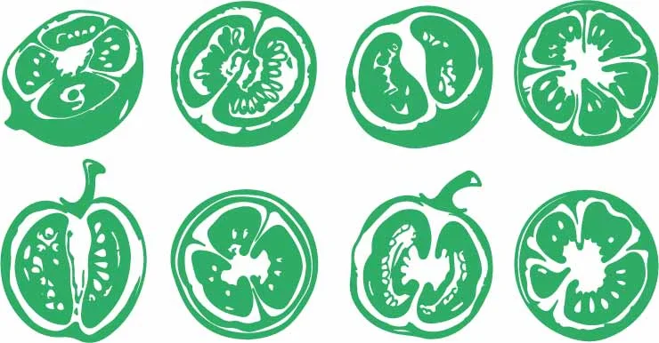 Green Tomato Slices Silhouette Free Vector Art