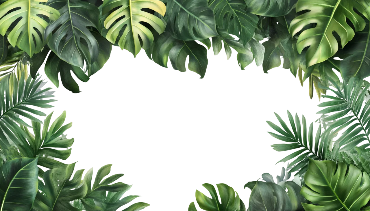 Tropical Palm Leaves Greenery Border Frame Free PNG