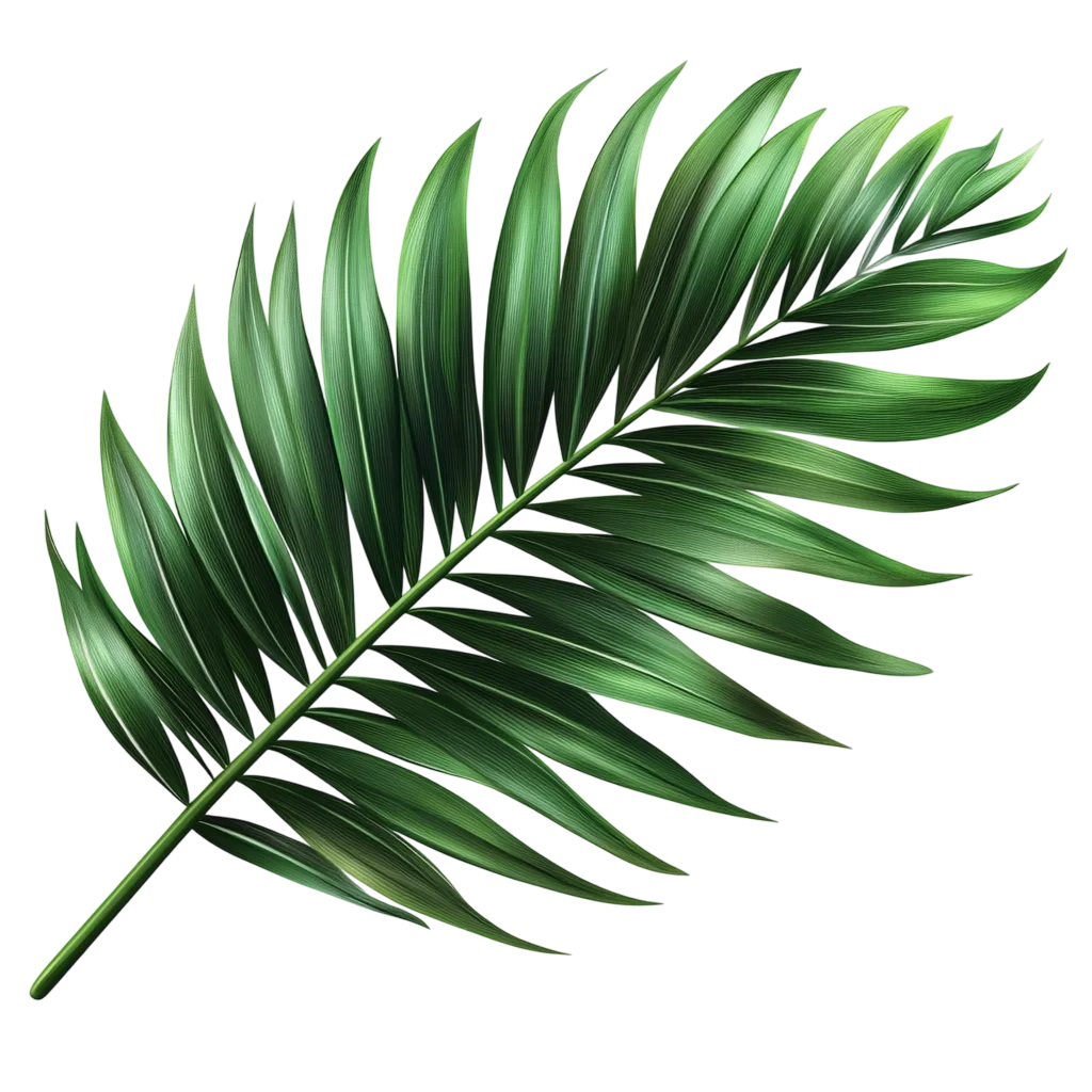 Lush Green Palm Leaf Frond Tropical Plant Foliage Free PNG