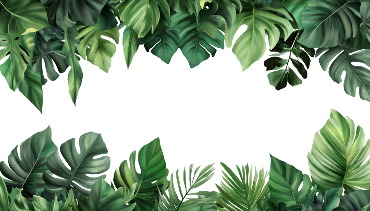 Monstera and Palm Leaves Frame Foliage Border Free PNG