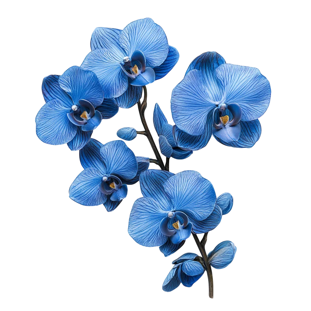 Royal Blue Orchid Flower Sprig on Branch Cutout Free PNG