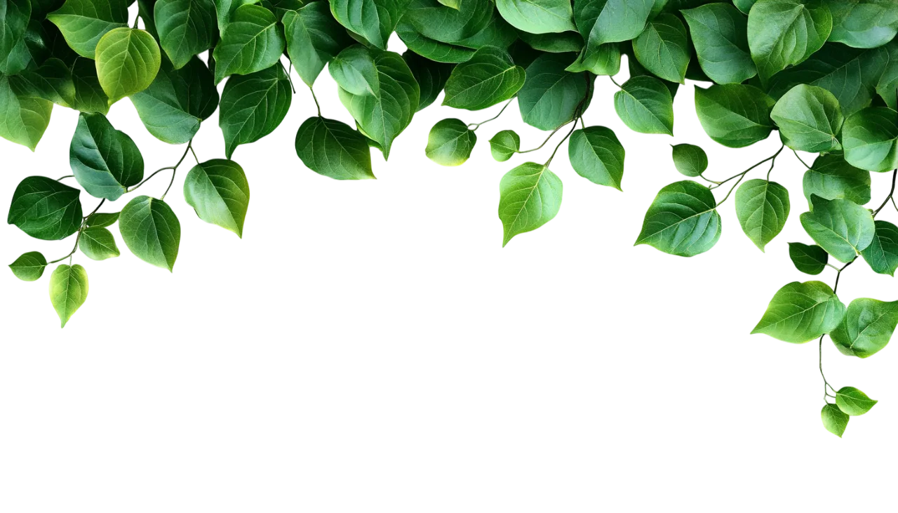 Green Leaves Foliage Top Frame Arch Border Free PNG