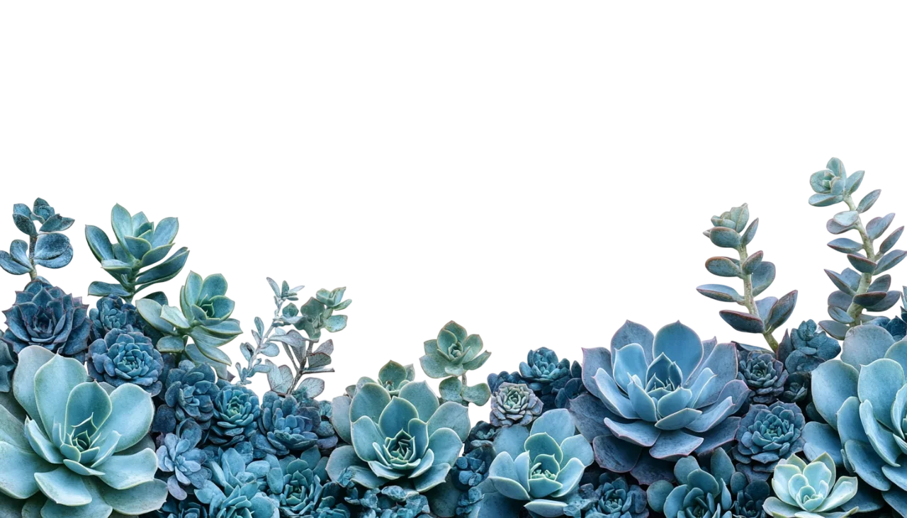 Blue Succulent Plants Garden Bed Border Cutout Free PNG