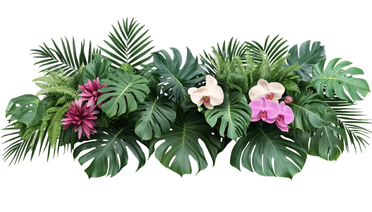 Lush Tropical Palm Fronds and Pink Orchid Garland Free PNG