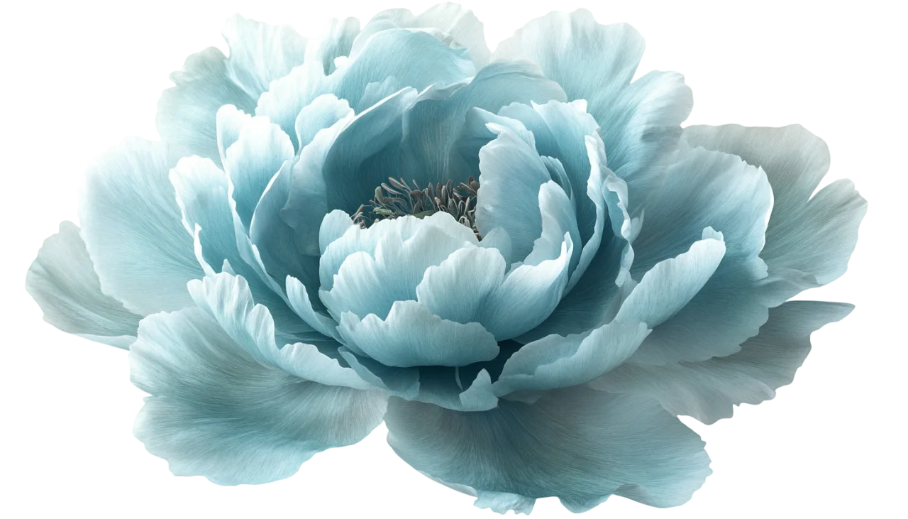 Soft Sky Blue Peony Flower Head Overhead Cutout Free PNG