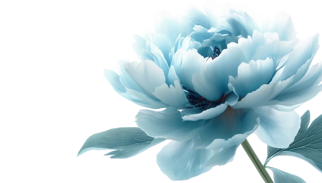 Pastel Aqua Blue Peony Flower Blossom Side View Free PNG