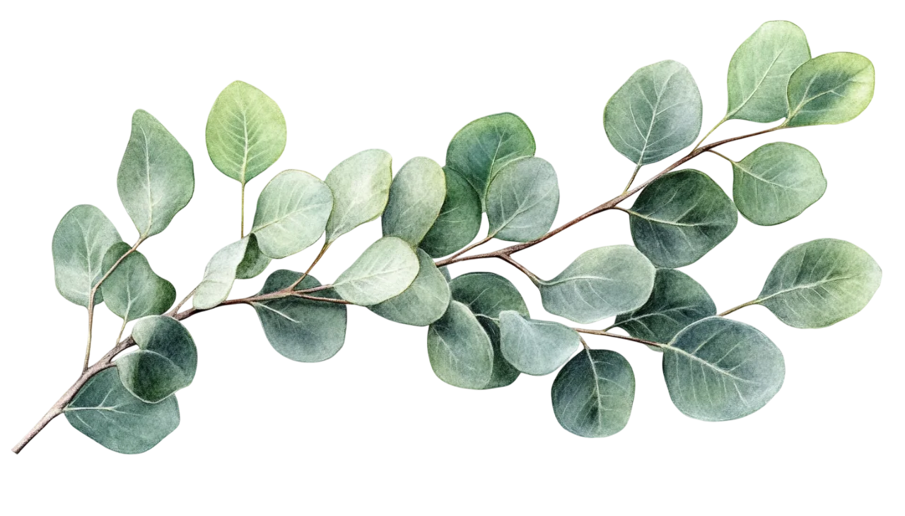 Eucalyptus Foliage Green Leaves Branch Swag Free PNG
