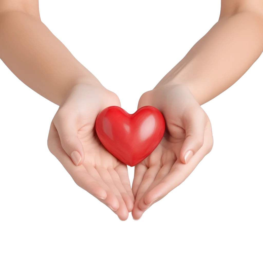Cupped Hands Holding Red Heart Love Organ Free PNG