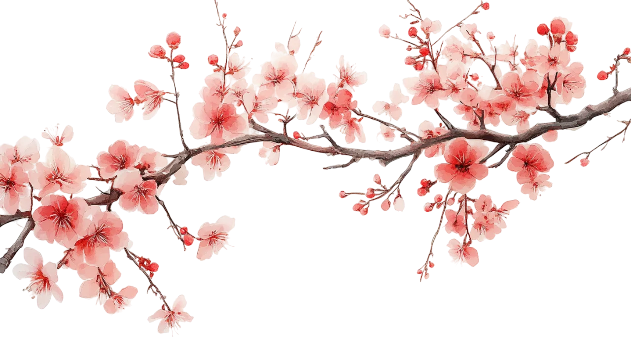 Pink Sakura Cherry Blossom Branches Arch Border Free PNG