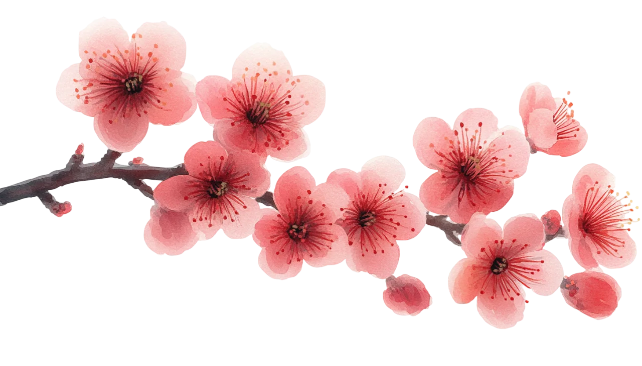 Blooming Red Plum Blossom Branch Spring Flora Free PNG