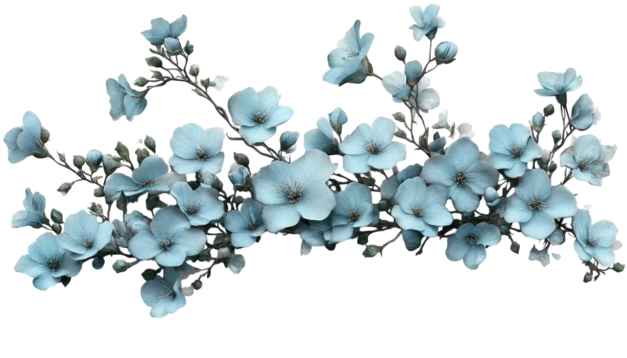 Soft Blue Hydrangea Flower Blossom Tree Branch Free PNG