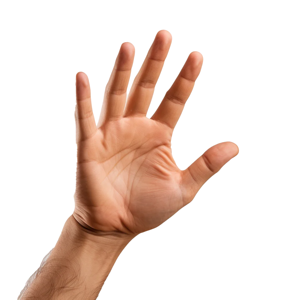 Open Male Hand Palm Facing Forward Gesture Free PNG