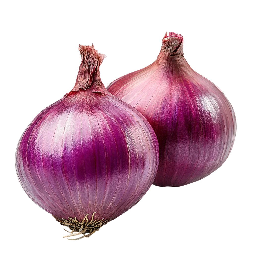 Two Fresh Purple Red Onions Food Cutout Free PNG