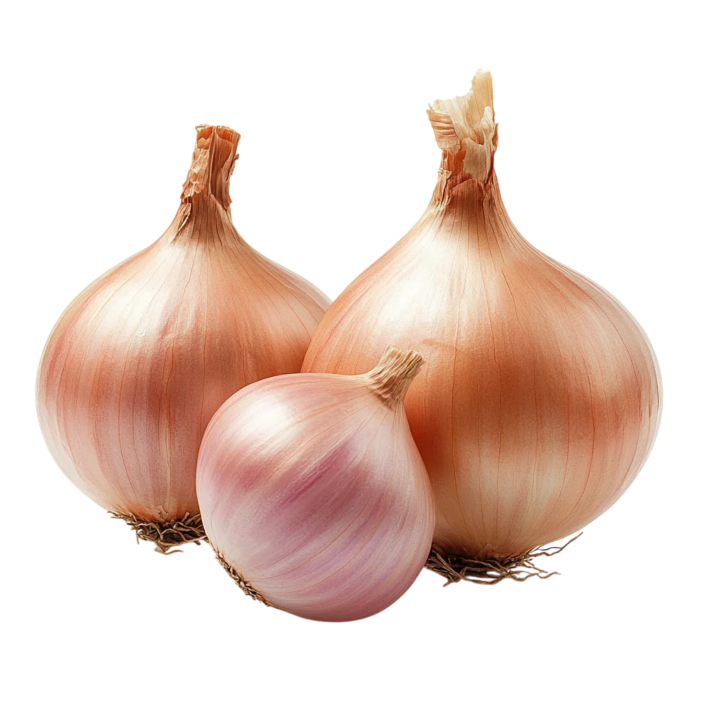 Trio of Fresh Yellow Onions of Various Sizes Free PNG