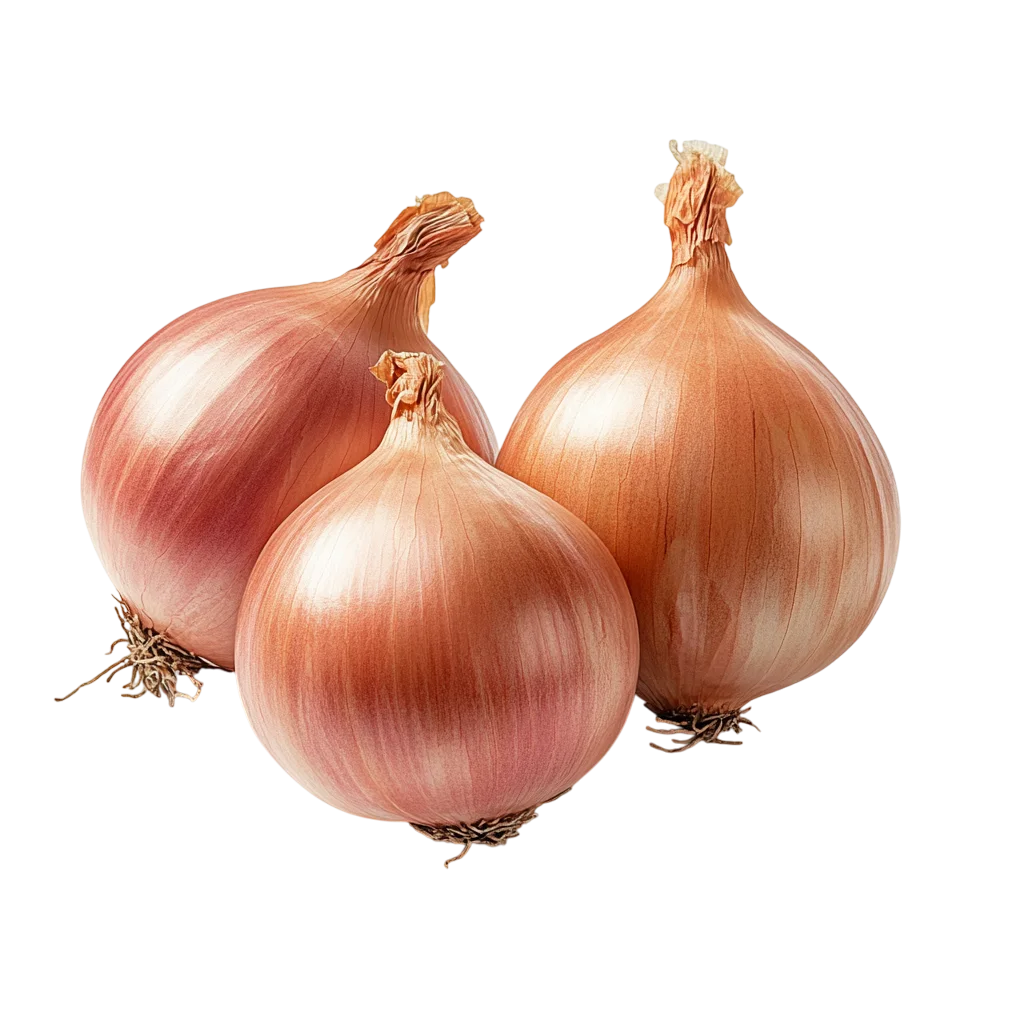 Group of Whole Yellow Cooking Onions Cutout Free PNG