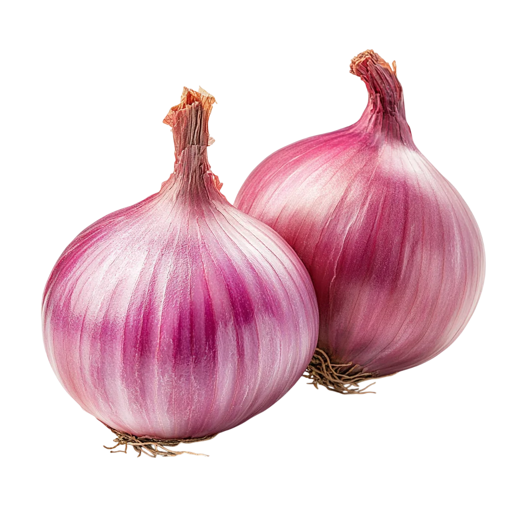 Pair of Whole Red Onions with Skins Cutout Free PNG