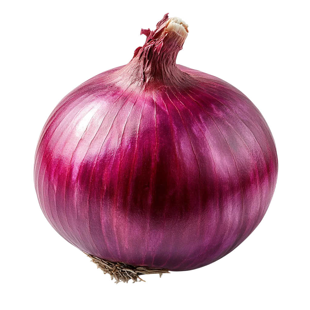 Fresh Red Onion Bulb with Outer Skin Free PNG