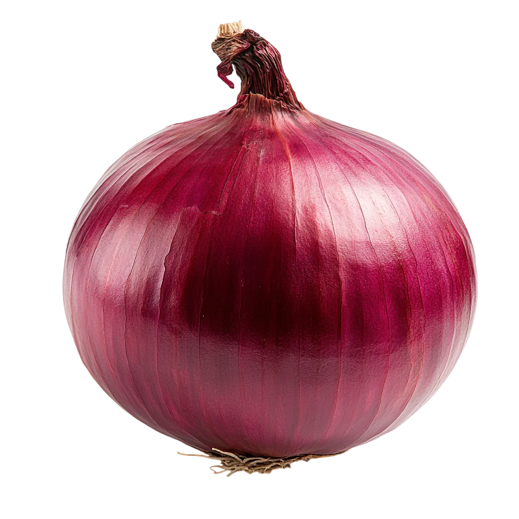 Fresh Red Onion Bulb Unpeeled Vegetable Free PNG
