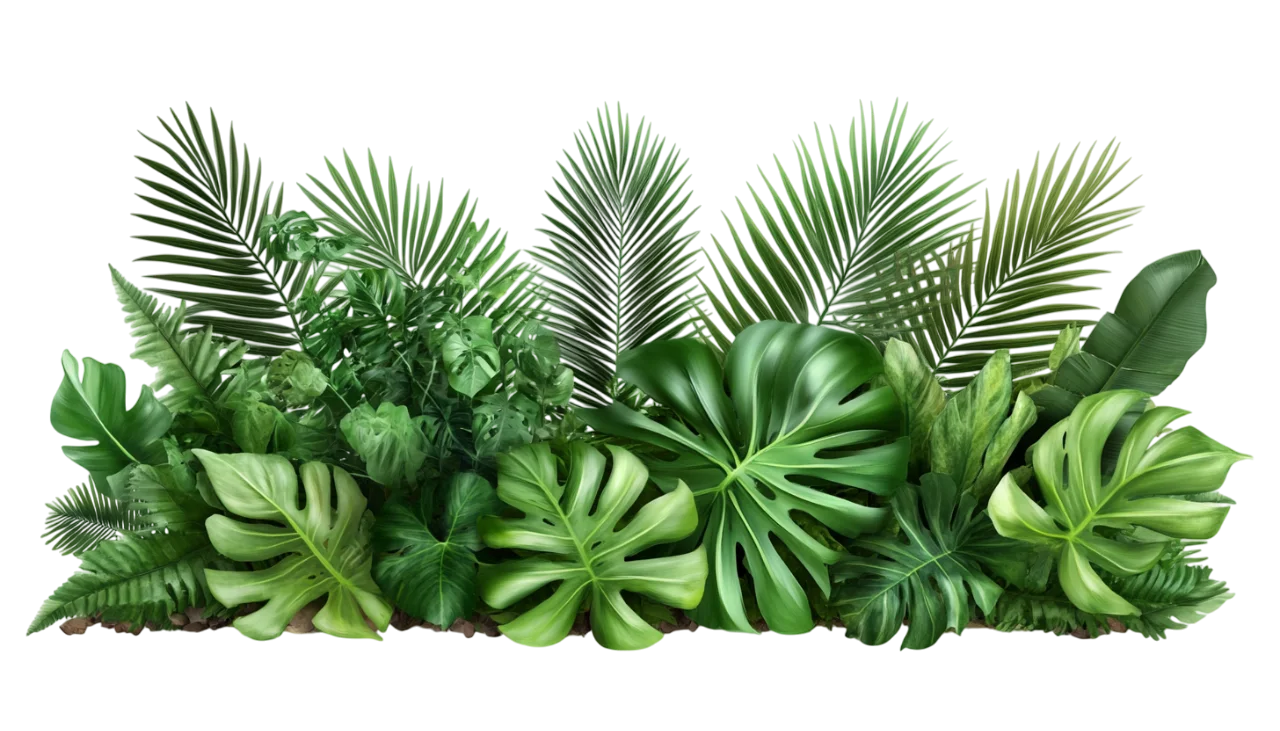 Dense Tropical Palm Leaves Garden Border Free PNG