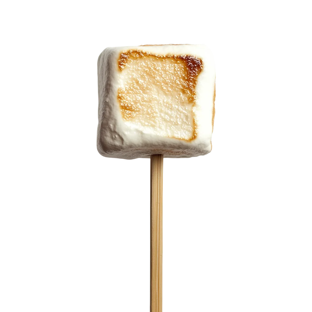 Toasted Marshmallow on Wood Skewer Free PNG Food