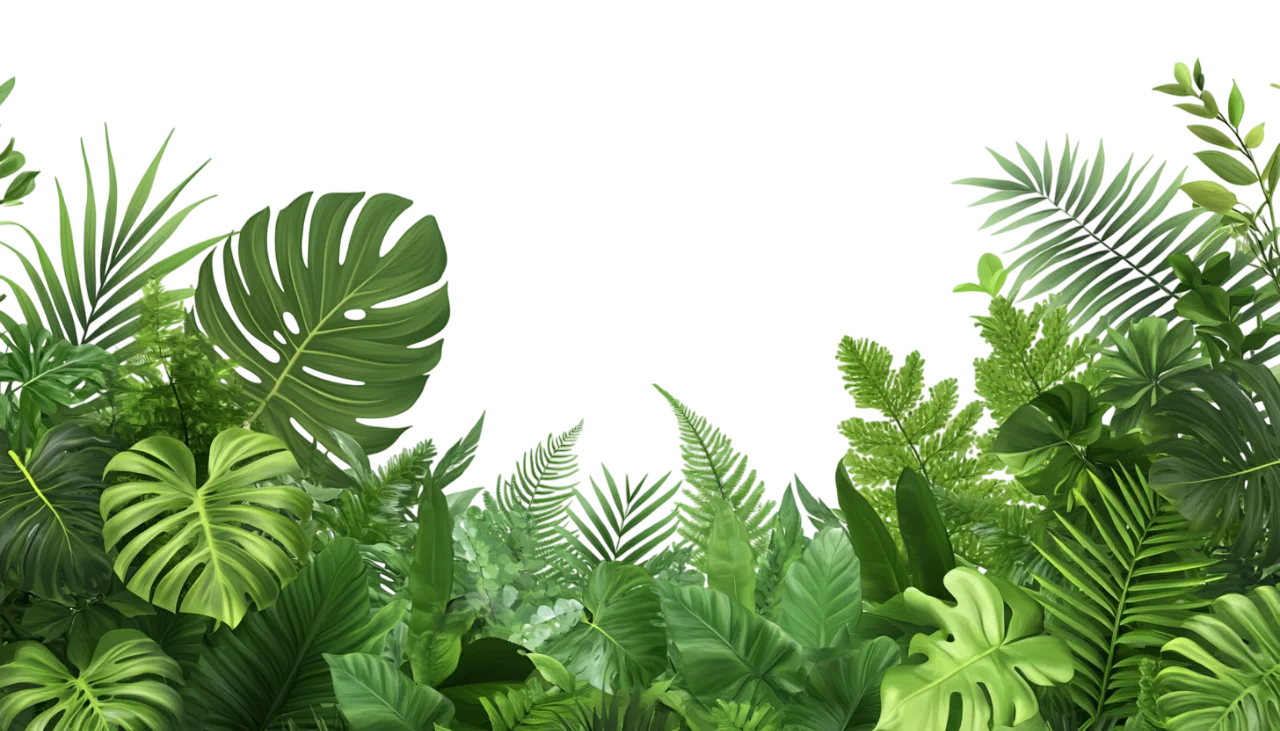 Lush Fern and Monstera Tropical Foliage Border Free PNG