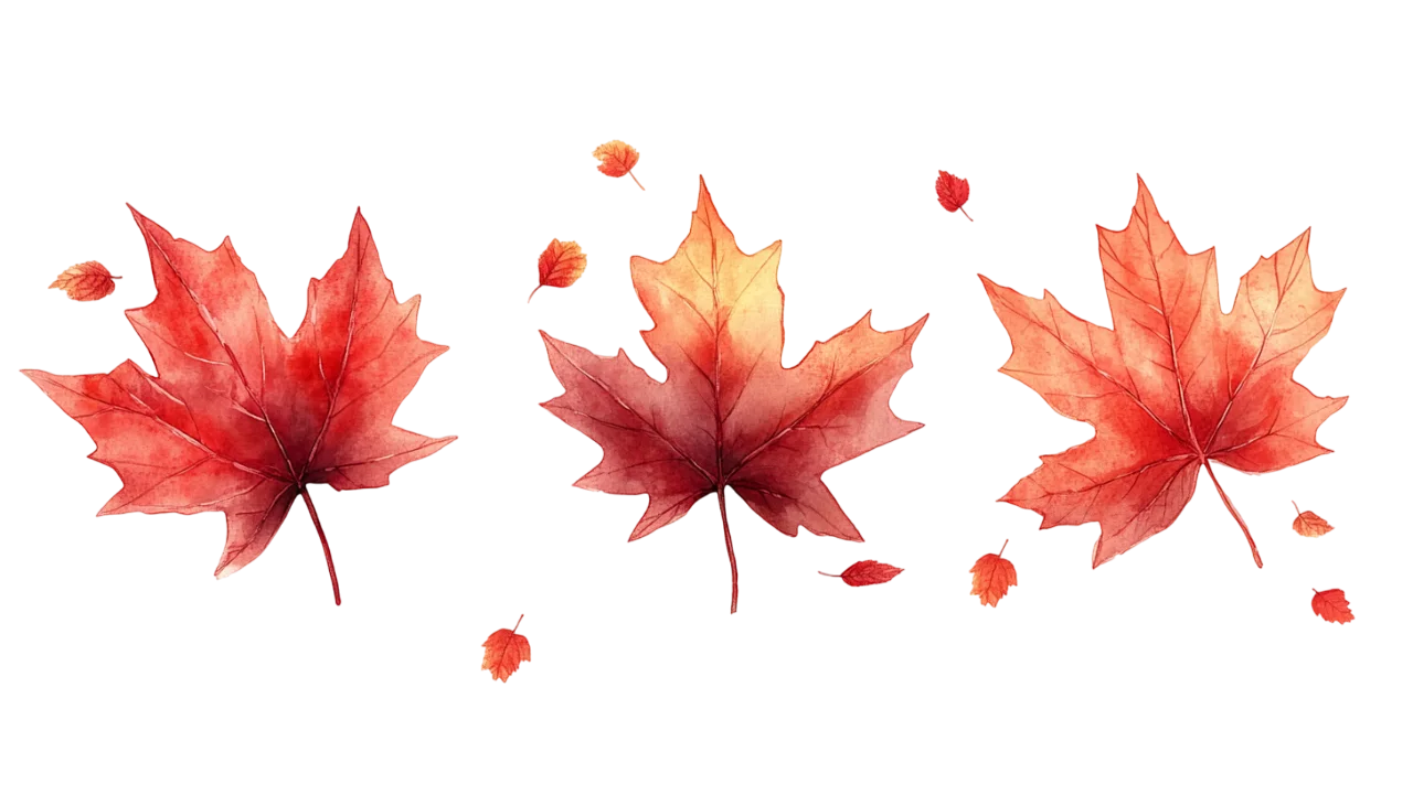 Watercolor Autumn Maple Leaves Pattern Free PNG