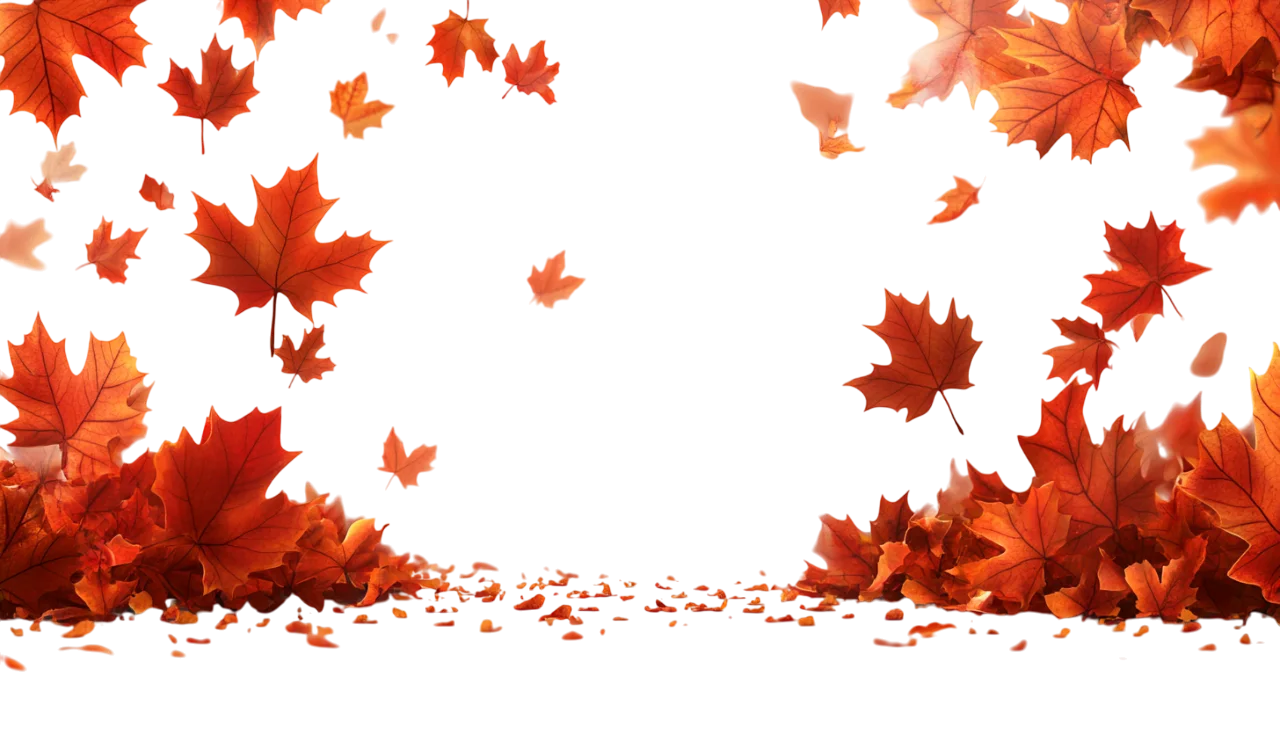 Falling Autumn Leaves Side Frame Border Free PNG