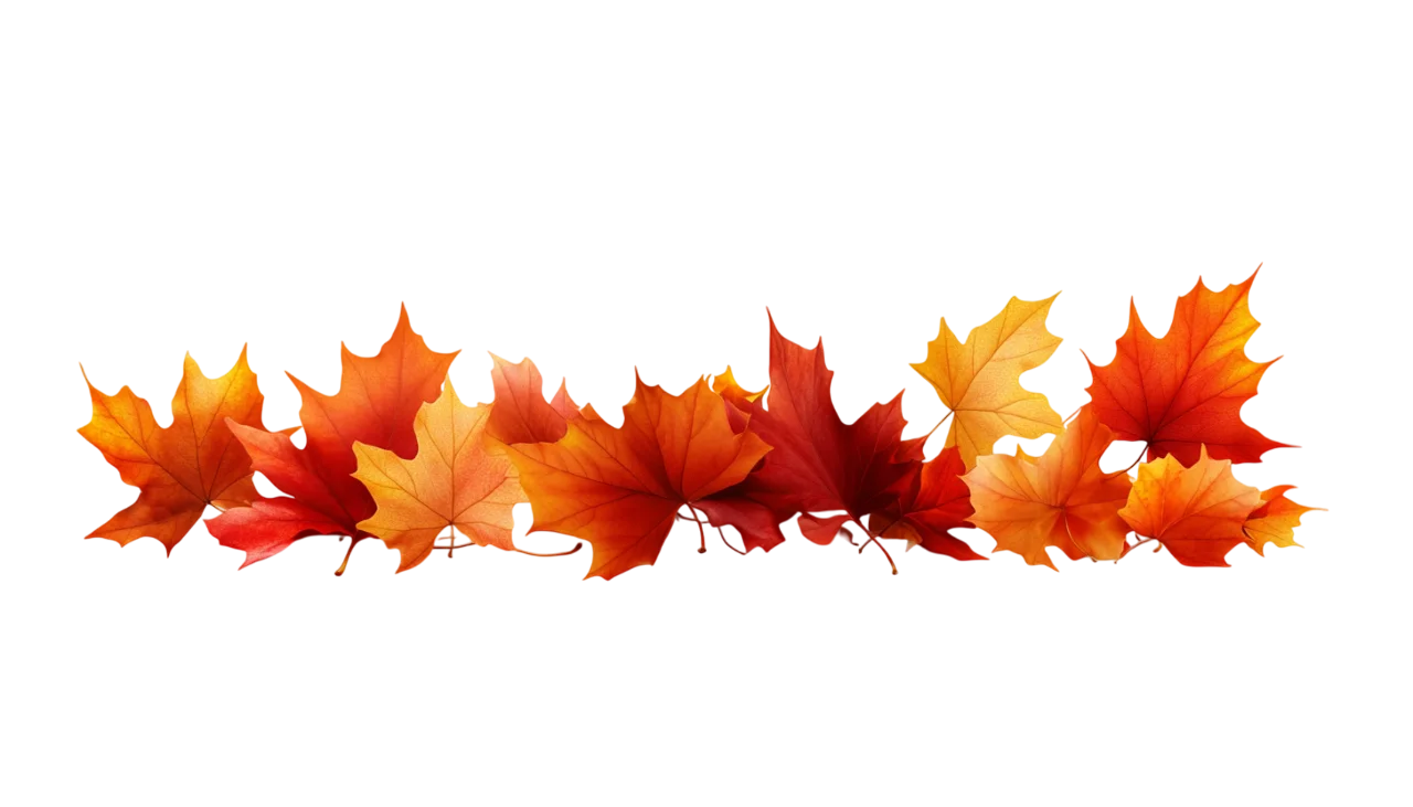 Autumn Maple Leaves Ground Border Free PNG Cutout