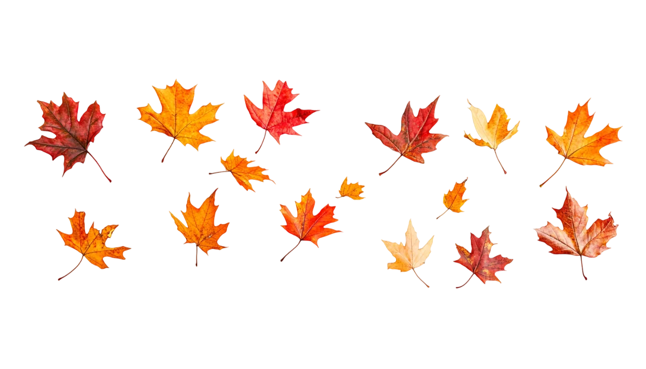 Scattered Autumn Fall Leaves Pattern Free PNG
