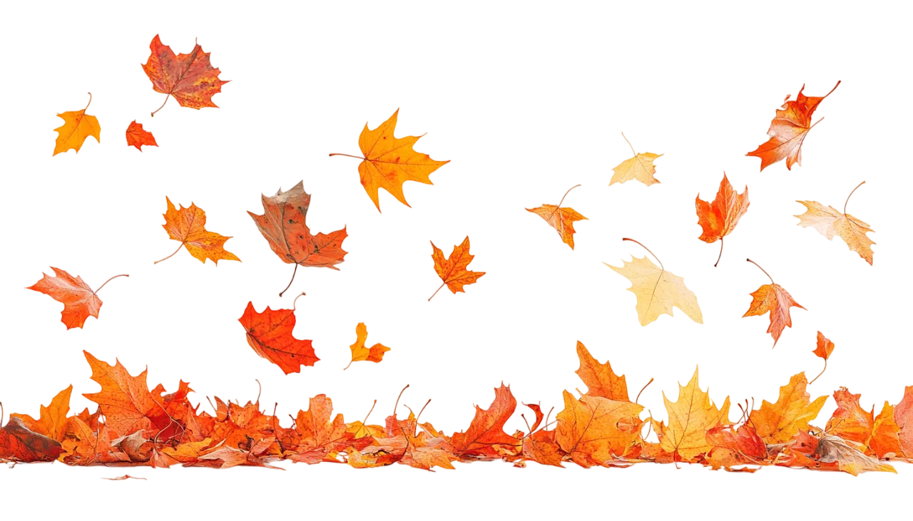 Falling Autumn Leaves Ground Border Free PNG Cutout