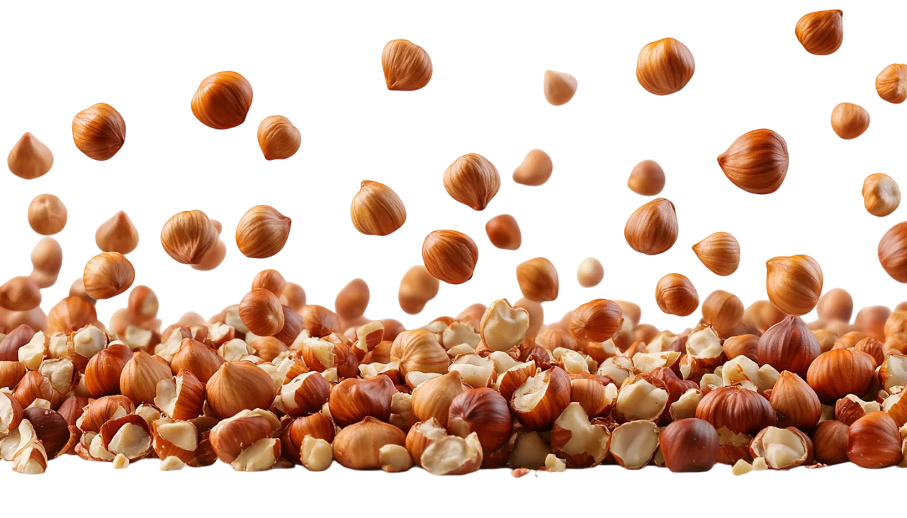 Scattered Hazelnuts and Nut Pieces Free PNG Cutout