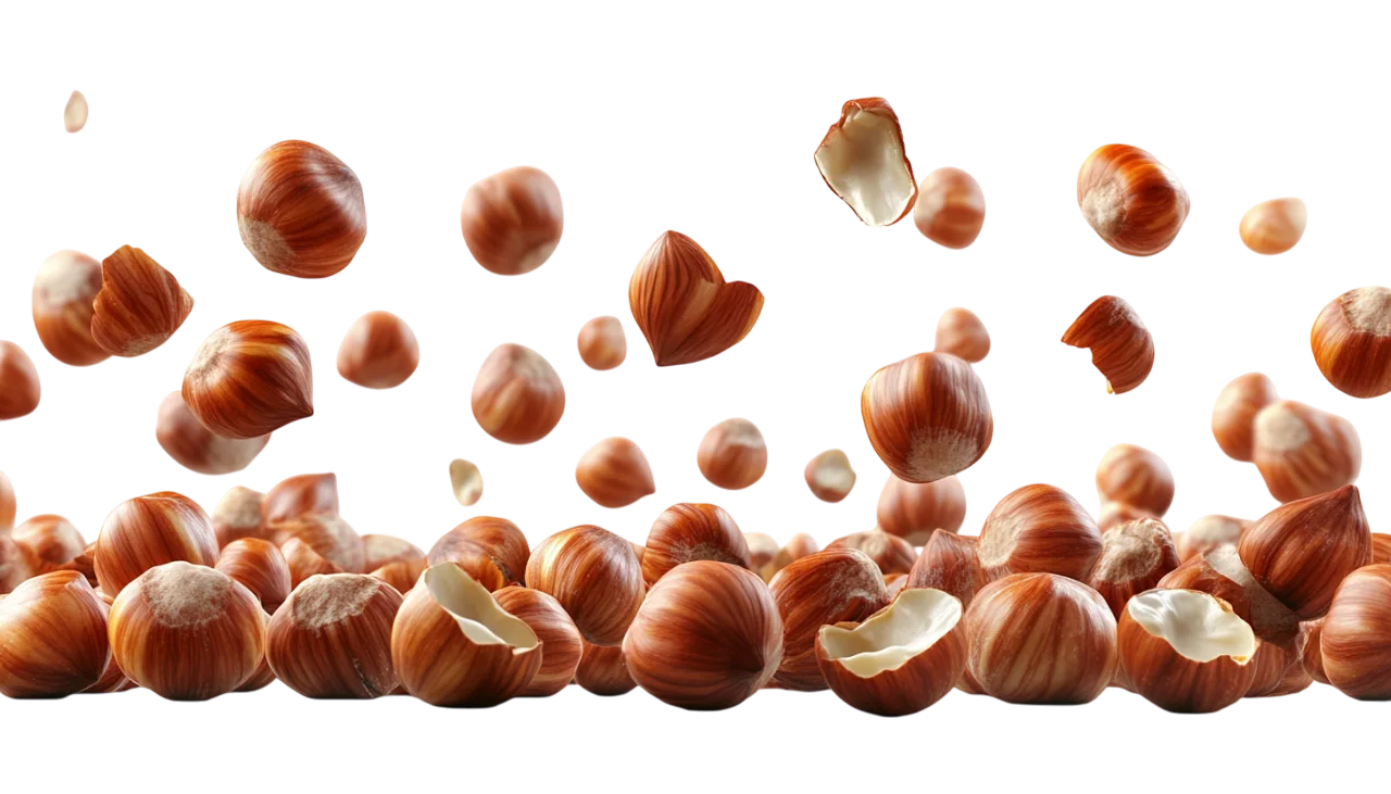 Falling Whole Hazelnuts Splash Free PNG Food Cutout